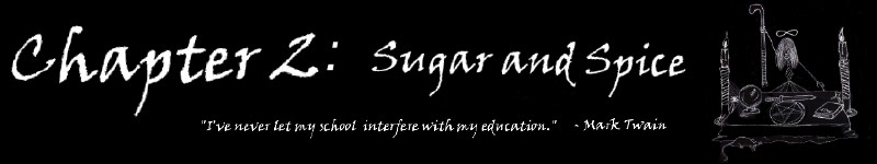 Chapter 2: Sugar & Spice